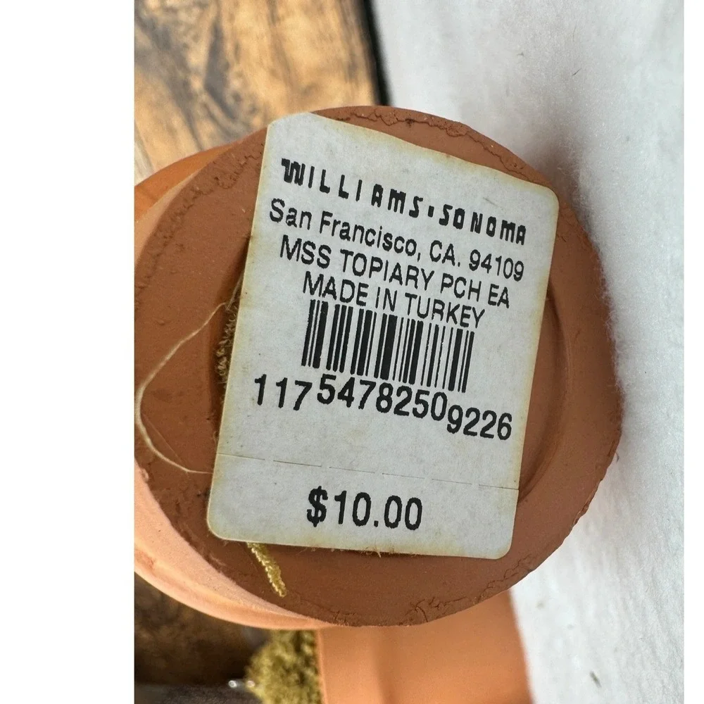 Williams‎ Sonoma Moss Topiary Flower Pot Place Card Holders Set of 7 Terracotta